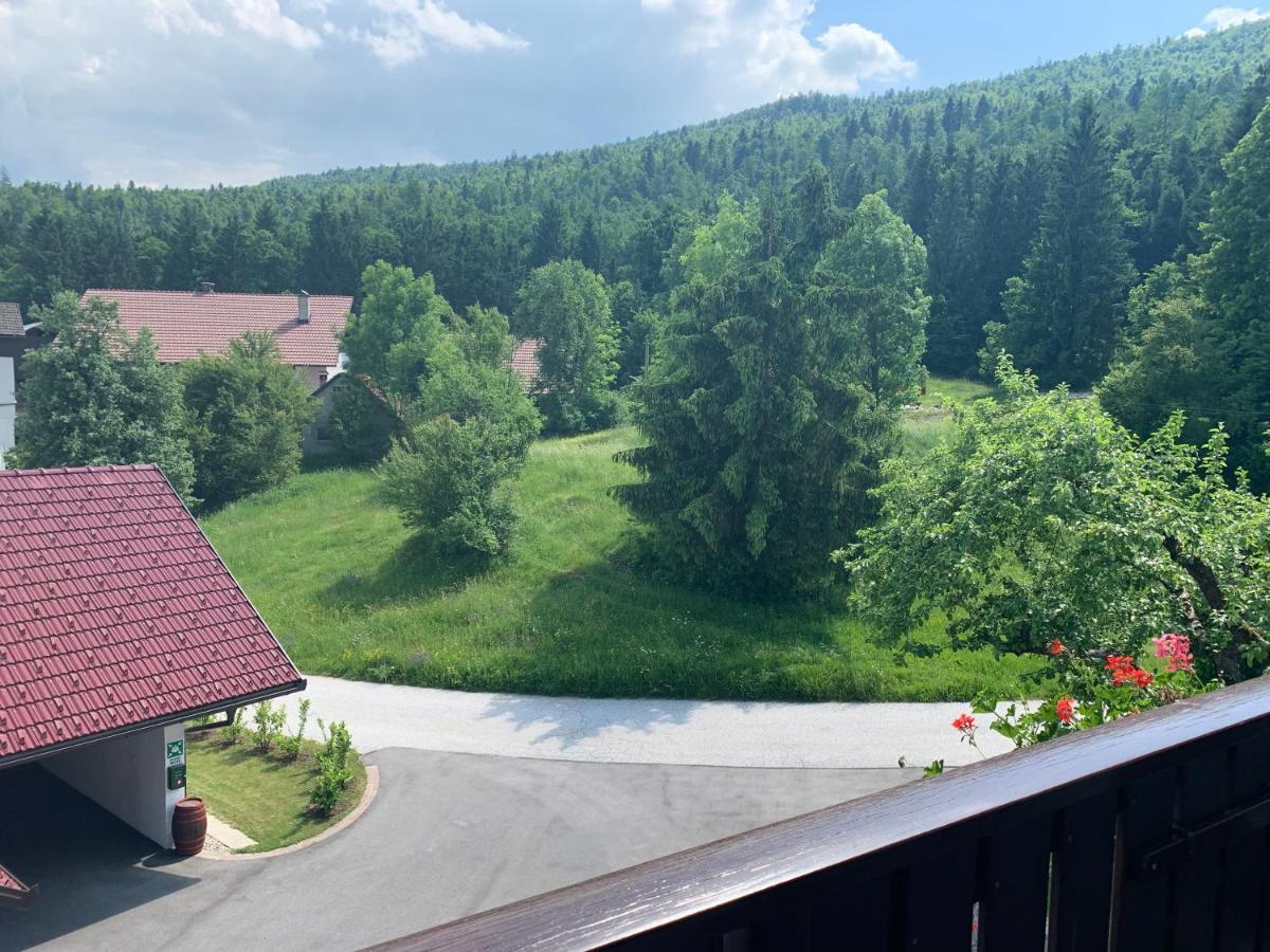 Zigon Bed & Breakfast Logatec Zewnętrze zdjęcie