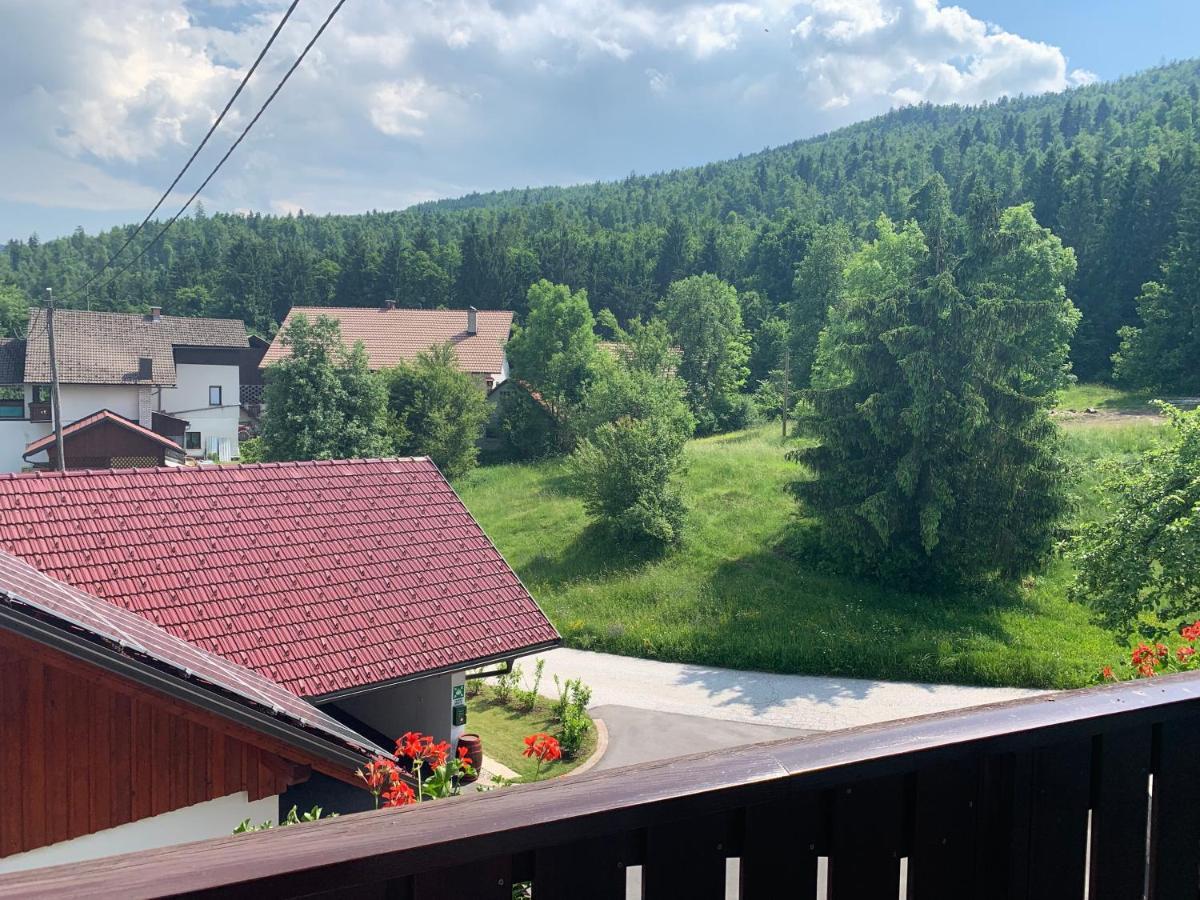 Zigon Bed & Breakfast Logatec Zewnętrze zdjęcie